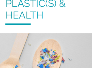 Technical sheet – “Plastic(s) and health”...