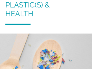 Technical sheet – “Plastic(s) and health”...