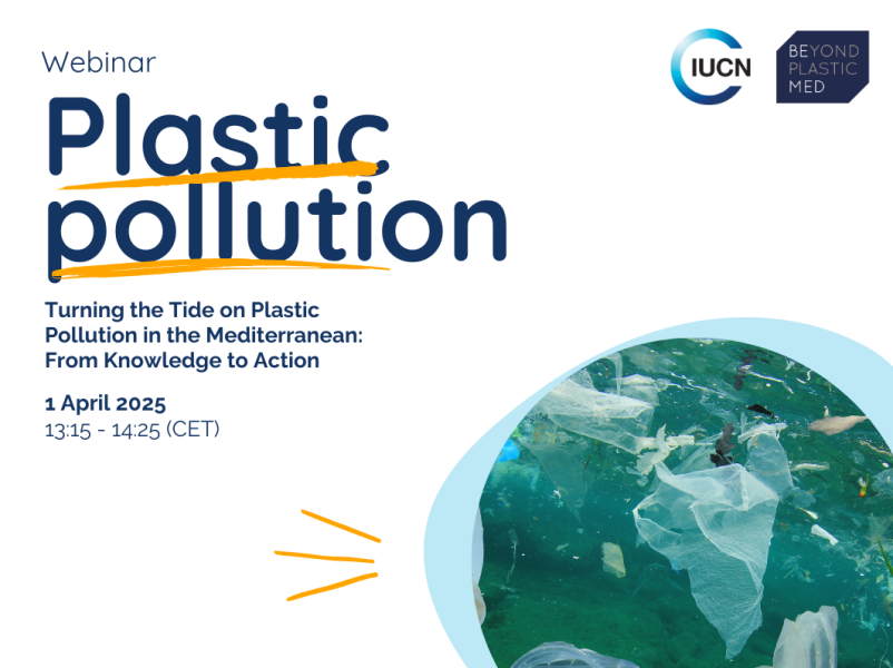 Webinar : Turning the tide on plastic pollution in the Mediterranean ...