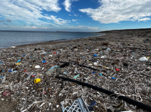 Gökçeada Single-Use Plastics Action Plan...